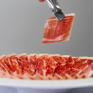 PALETA DE BELLOTA 50 1