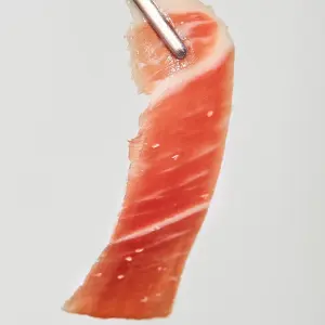 PALETA DE CEBO DE CAMPO (1)