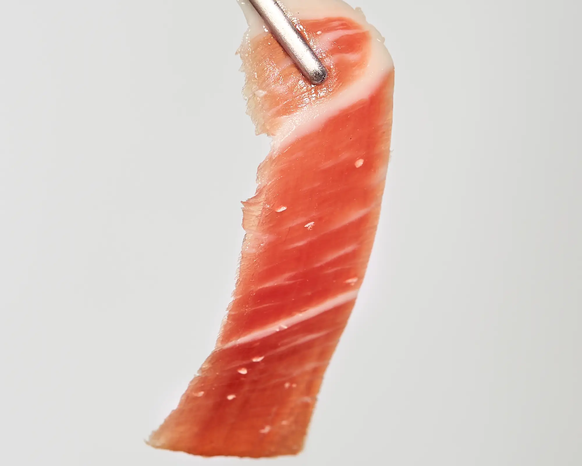 PALETA DE CEBO DE CAMPO (1)